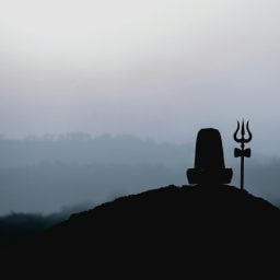 naman-sood-LIW4MVKIy6k-unsplash